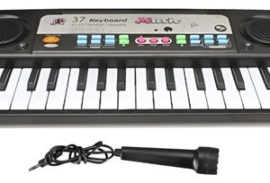 Teclado Organo Musical Infantil Newvision Mq-3751 Color Negro A Pila Aa